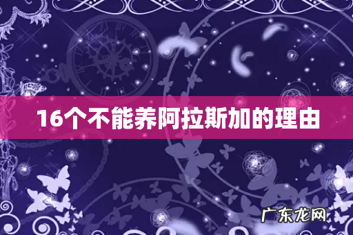 16个不能养阿拉斯加的理由