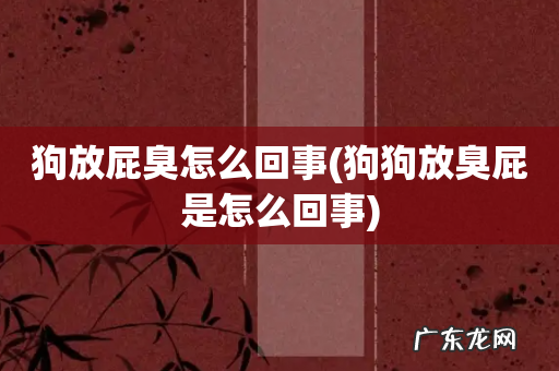 狗狗放臭屁是怎么回事 狗放屁臭怎么回事