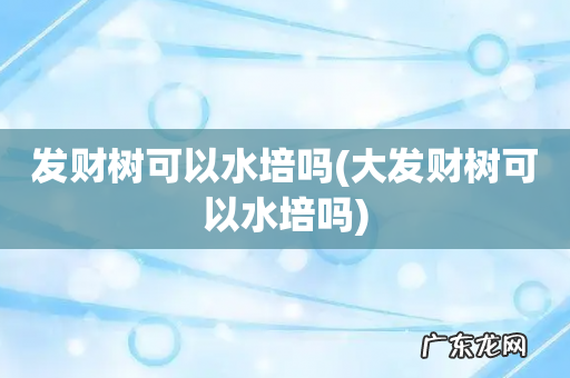 大发财树可以水培吗 发财树可以水培吗