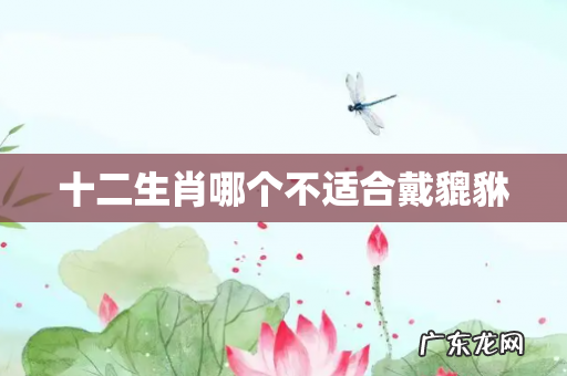 十二生肖哪个不适合戴貔貅