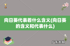向日葵的含义和代表什么 向日葵代表着什么含义