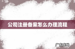 公司注册备案怎么办理流程