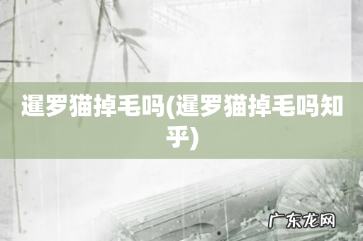 暹罗猫掉毛吗知乎 暹罗猫掉毛吗