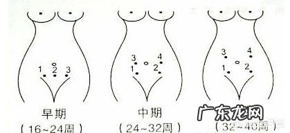 怀孕生男孩,胎心率是每分钟多少下?怀孕时应注意什么?