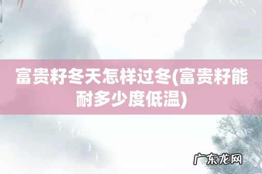 富贵籽能耐多少度低温 富贵籽冬天怎样过冬