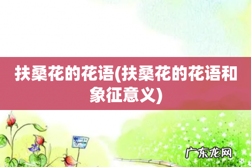 扶桑花的花语和象征意义 扶桑花的花语