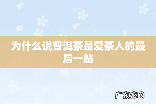 为什么说普洱茶是爱茶人的最后一站