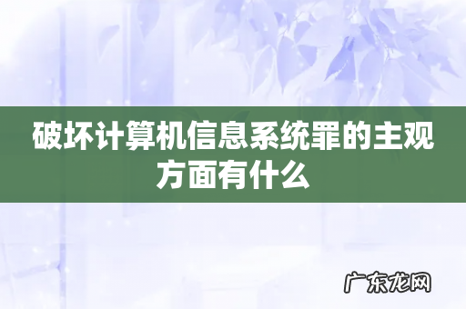 破坏计算机信息系统罪的主观方面有什么