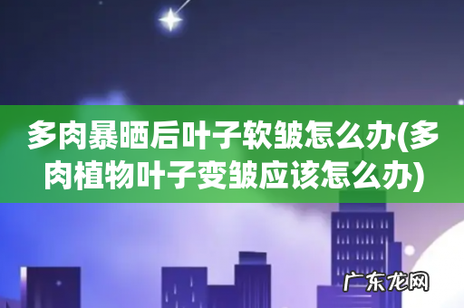 多肉植物叶子变皱应该怎么办 多肉暴晒后叶子软皱怎么办