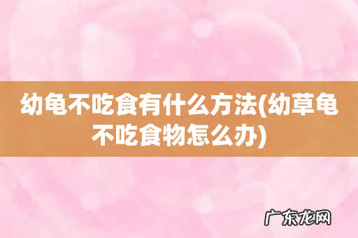 幼草龟不吃食物怎么办 幼龟不吃食有什么方法