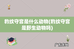 豹纹守宫是野生动物吗 豹纹守宫是什么动物