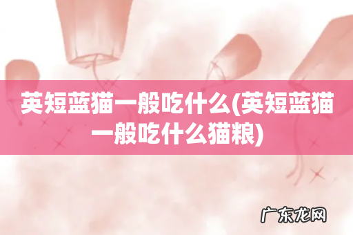 英短蓝猫一般吃什么猫粮 英短蓝猫一般吃什么