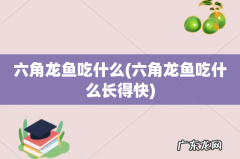 六角龙鱼吃什么长得快 六角龙鱼吃什么