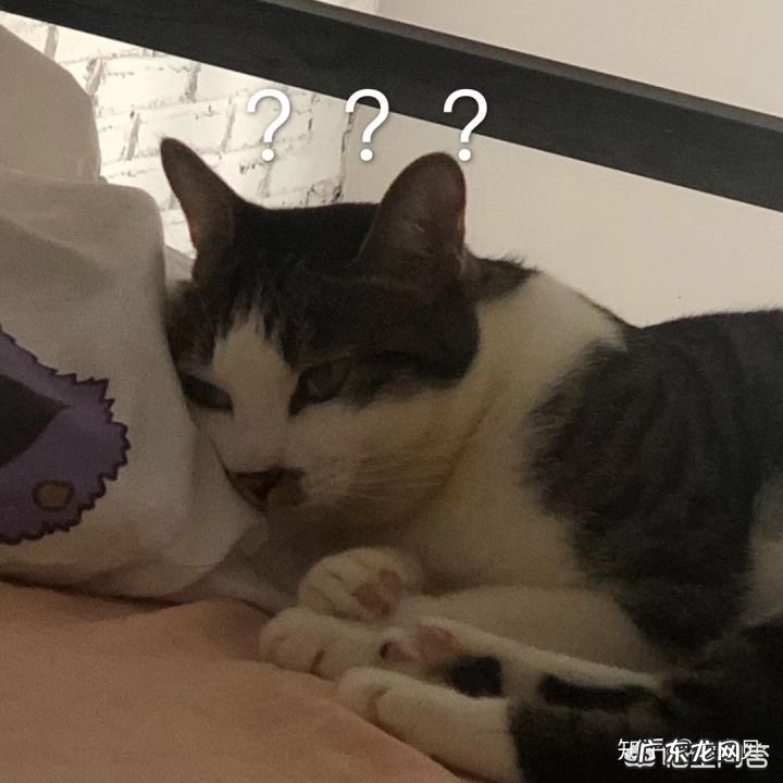 哪三种是女生必备的化妆品？