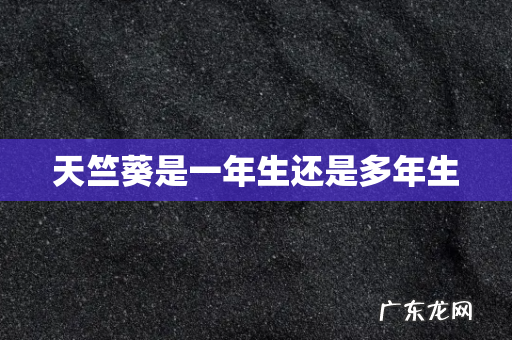 天竺葵是一年生还是多年生