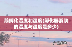 孵化器孵鹅的温度与湿度是多少 鹅孵化温度和湿度