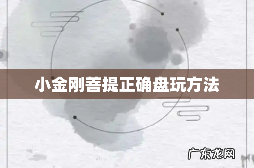 小金刚菩提正确盘玩方法