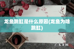 龙鱼为啥跳缸 龙鱼跳缸是什么原因