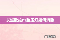 长城欧拉r1胎压灯如何消除