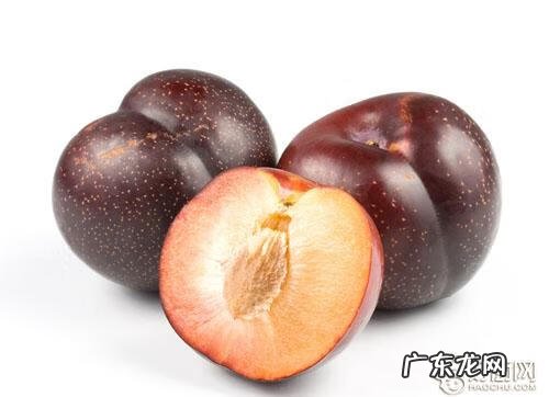 李子的食用禁忌 李子的功效和作用价值