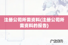 注册公司所需资料的报告 注册公司所需资料