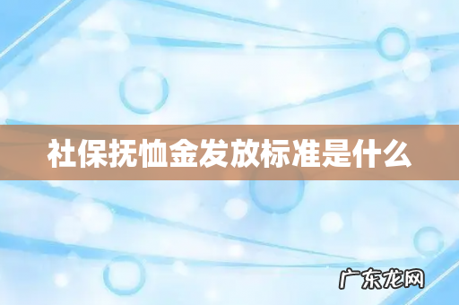 社保抚恤金发放标准是什么