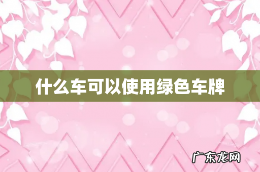 什么车可以使用绿色车牌