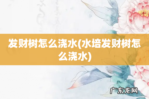 水培发财树怎么浇水 发财树怎么浇水