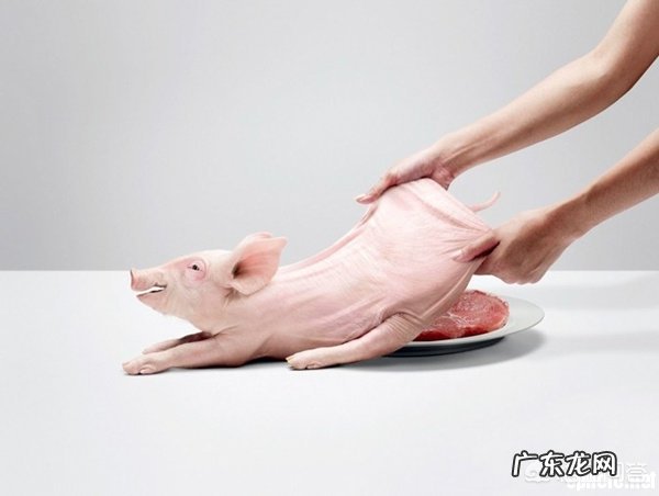 最早的广告摄影是源自于哪里呢?