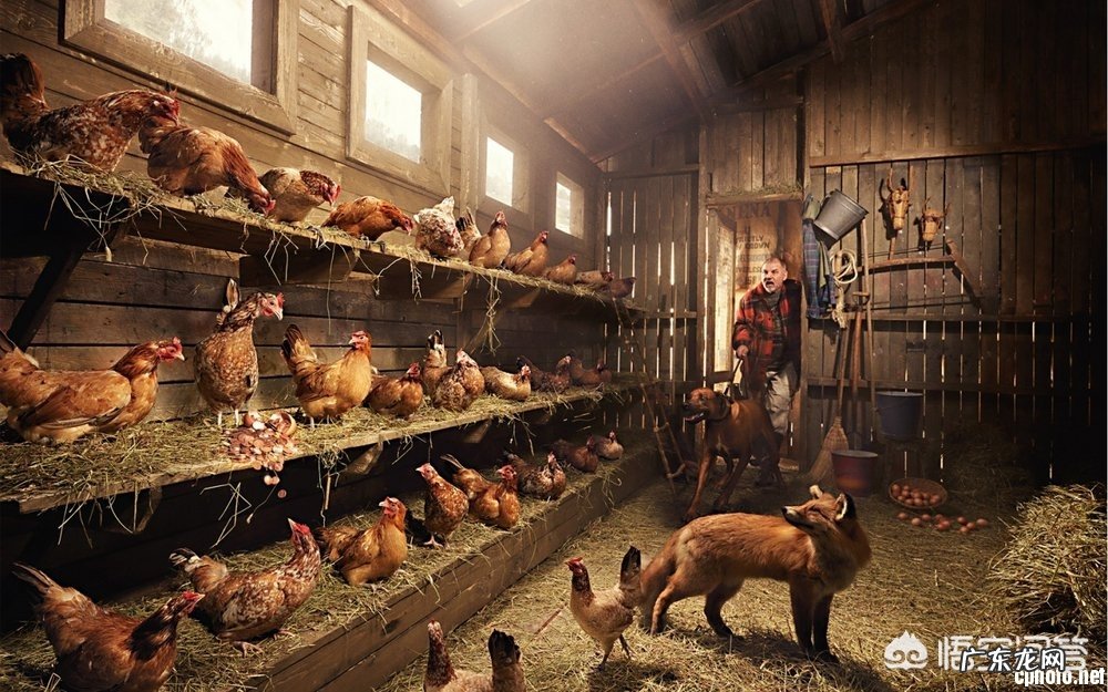 最早的广告摄影是源自于哪里呢?