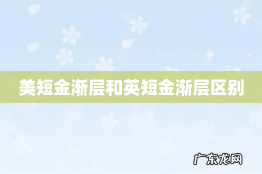 美短金渐层和英短金渐层区别