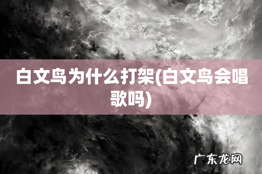 白文鸟会唱歌吗 白文鸟为什么打架