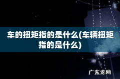 车辆扭矩指的是什么 车的扭矩指的是什么