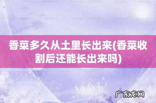 香菜收割后还能长出来吗 香菜多久从土里长出来