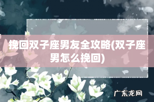 双子座男怎么挽回 挽回双子座男友全攻略