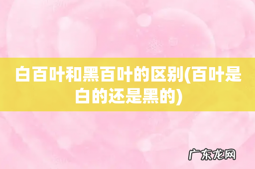 百叶是白的还是黑的 白百叶和黑百叶的区别