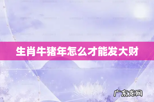 生肖牛猪年怎么才能发大财