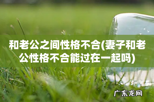 妻子和老公性格不合能过在一起吗 和老公之间性格不合
