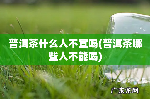 普洱茶哪些人不能喝 普洱茶什么人不宜喝