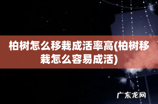 柏树移栽怎么容易成活 柏树怎么移栽成活率高