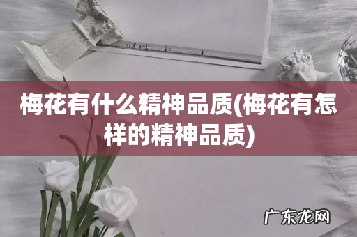 梅花有怎样的精神品质 梅花有什么精神品质