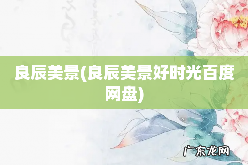 良辰美景好时光百度网盘 良辰美景