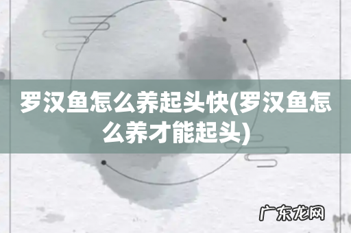 罗汉鱼怎么养才能起头 罗汉鱼怎么养起头快