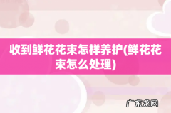 鲜花花束怎么处理 收到鲜花花束怎样养护