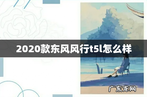 2020款东风风行t5l怎么样
