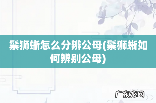 鬃狮蜥如何辨别公母 鬃狮蜥怎么分辨公母
