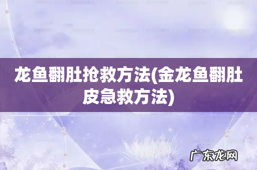 金龙鱼翻肚皮急救方法 龙鱼翻肚抢救方法