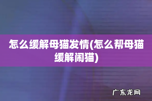 怎么帮母猫缓解闹猫 怎么缓解母猫发情