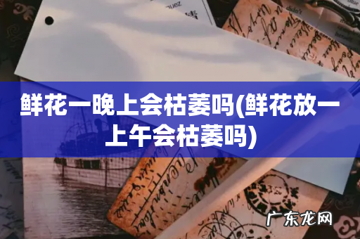 鲜花放一上午会枯萎吗 鲜花一晚上会枯萎吗