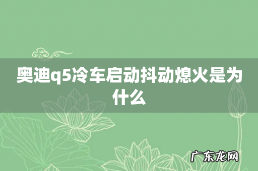 奥迪q5冷车启动抖动熄火是为什么